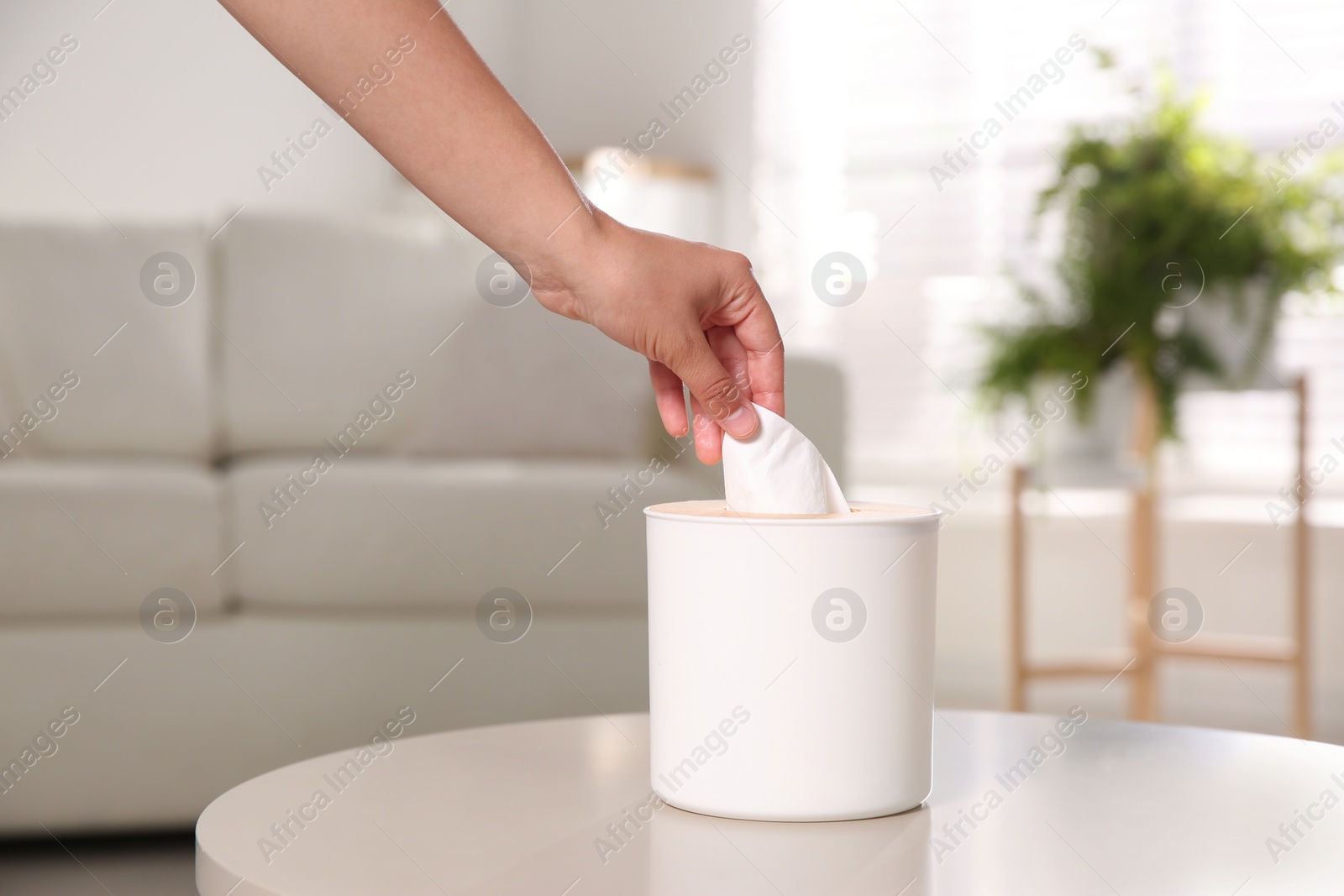 Photo of Woman taking paper tissue from box on light table in living room, closeup