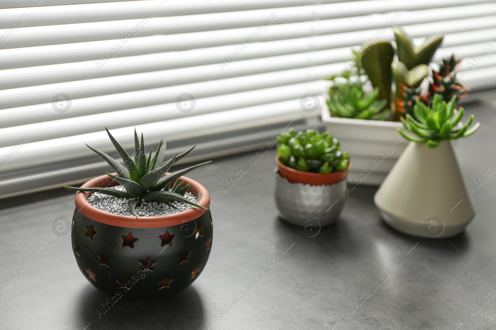 Photo of Green houseplants near window with blinds. Space for text