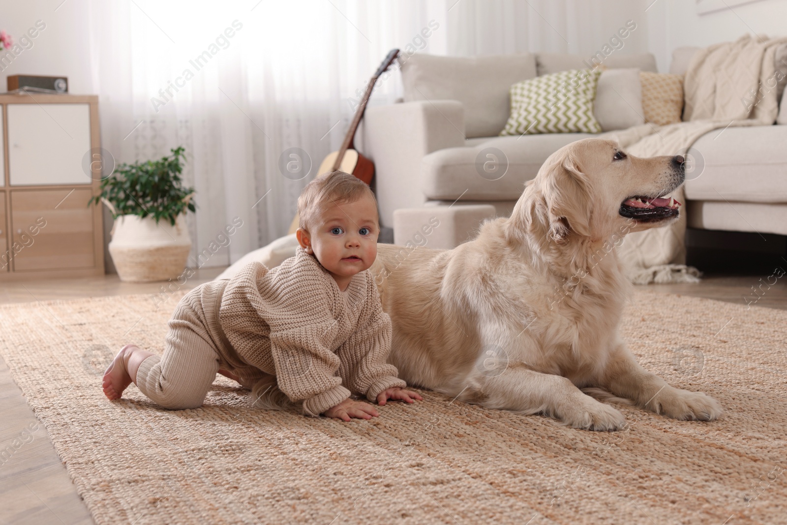 Photo of Cute little baby with adorable dog on floor at home