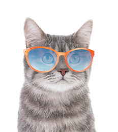 Image of Portrait of gray tabby cat with sunglasses on white background