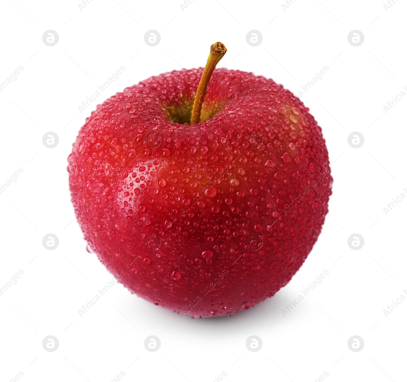 Photo of One ripe red apple with water drops isolated on white