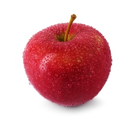 One ripe red apple with water drops isolated on white