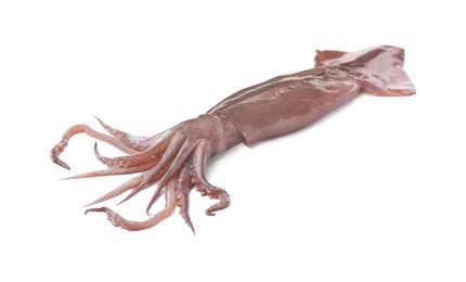 Photo of Raw squid isolated on white. Fresh seafood