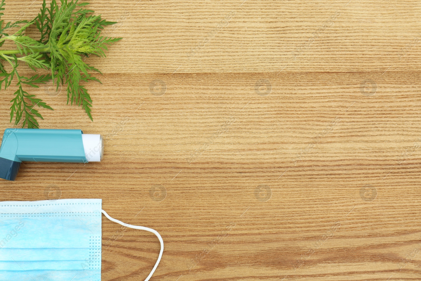 Photo of Flat lay composition with ragweed plant (Ambrosia genus) on wooden background, space for text. Seasonal allergy