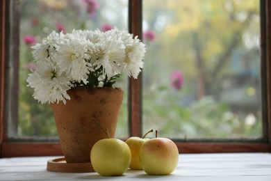 Photo of Beautiful chrysanthemum flowers in pot and ripe apples on white wooden table indoors, space for text