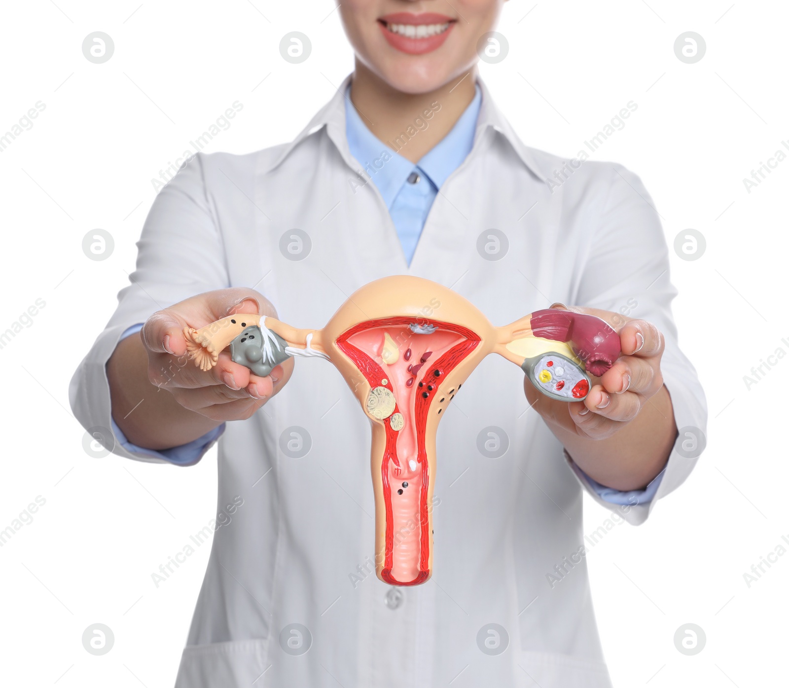 Photo of Doctor demonstrating model of female reproductive system on white background, closeup. Gynecological care