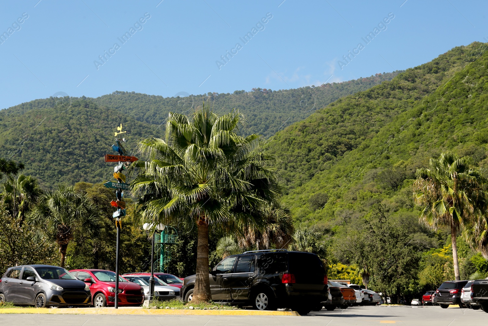 Photo of View of mountains, palm trees and parked cars near road