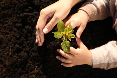 Mother and daughter planting young tree in soil, top view