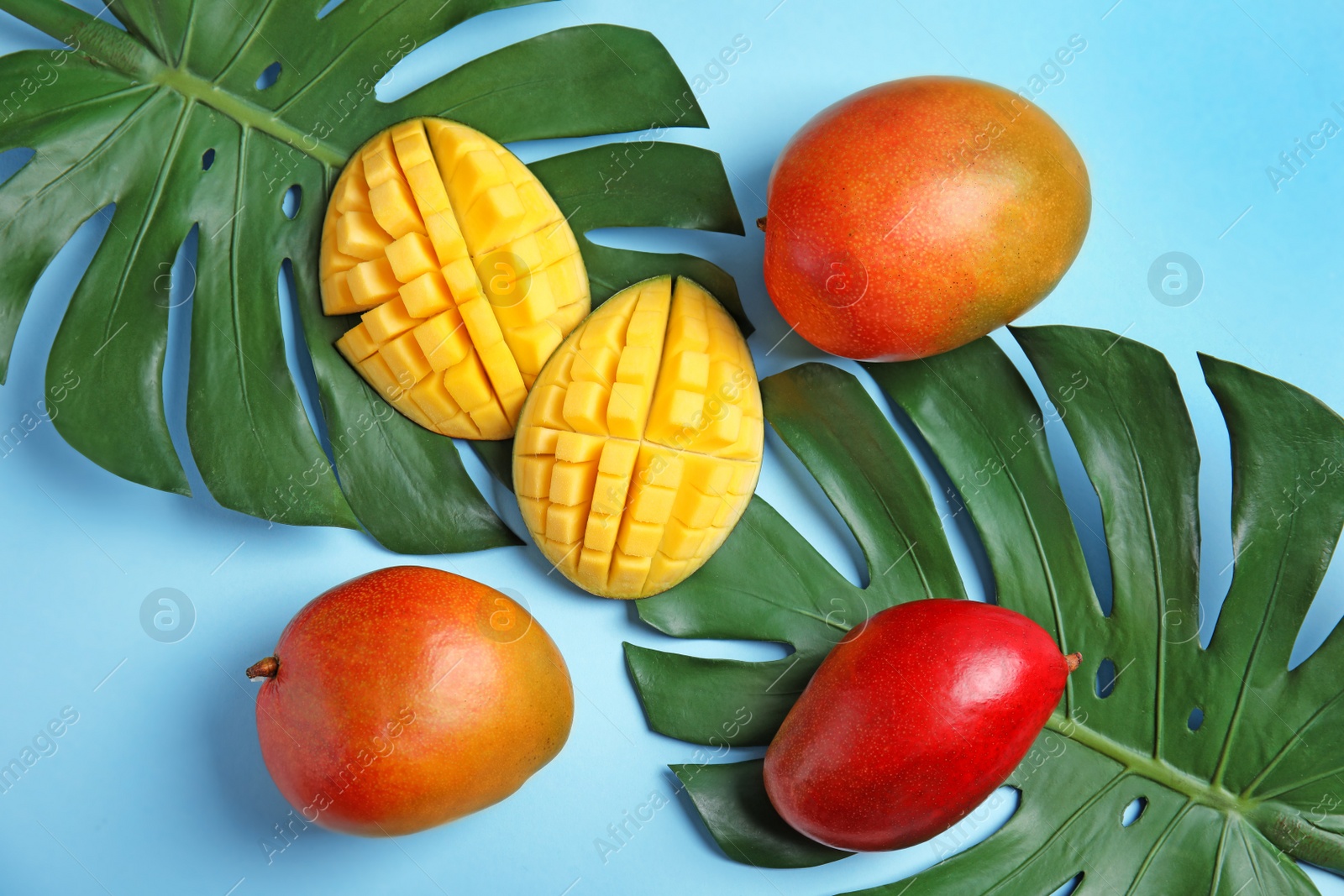 Photo of Flat lay composition with ripe mangoes and monstera leaves on color background