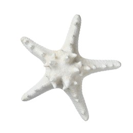 Photo of Beautiful sea star isolated on white. Beach object