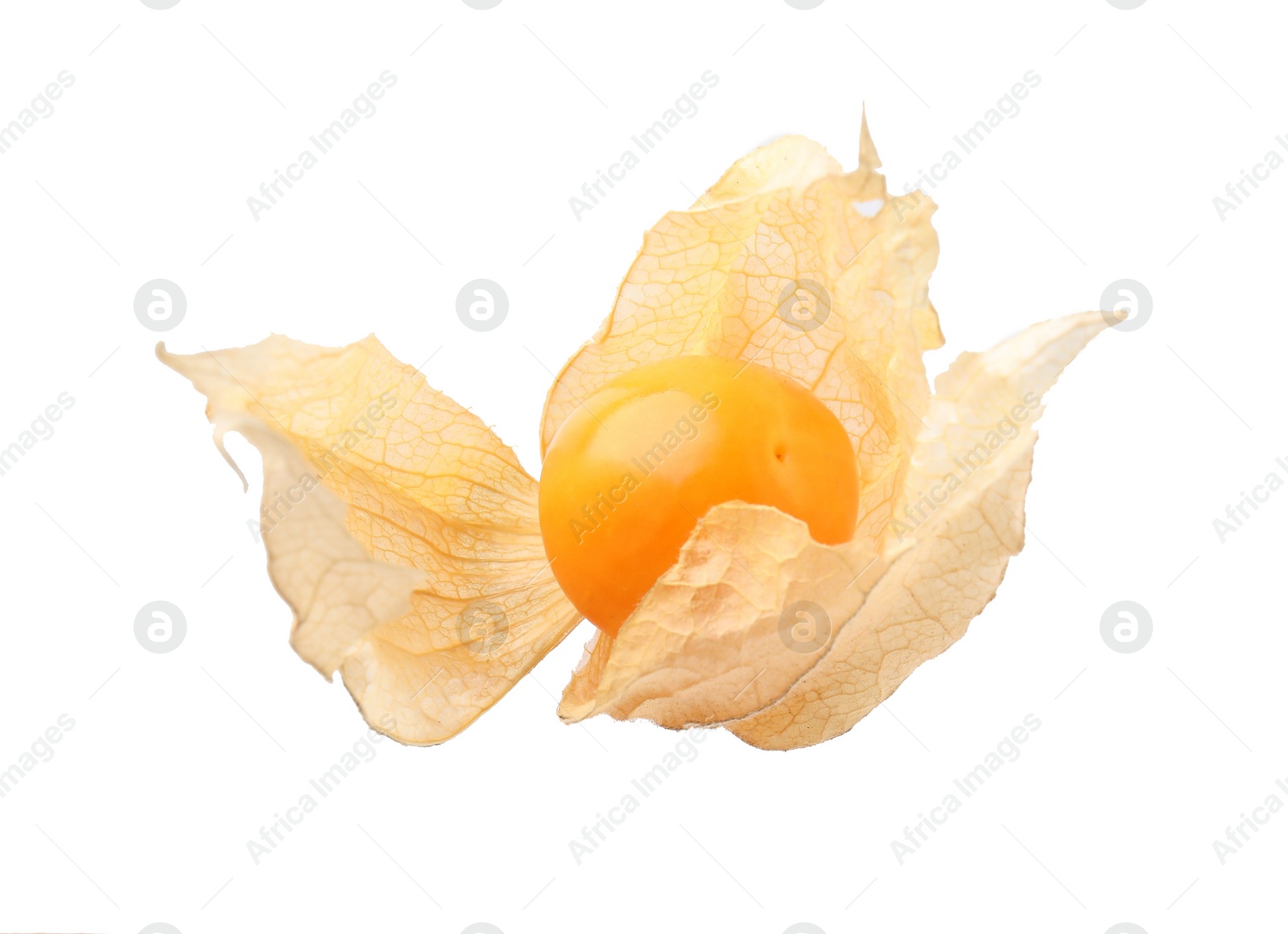 Photo of Ripe physalis fruit with calyx isolated on white