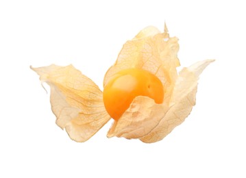 Photo of Ripe physalis fruit with calyx isolated on white