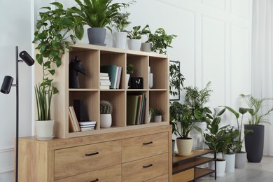 Photo of Wooden shelving unit, books and many potted houseplants indoors