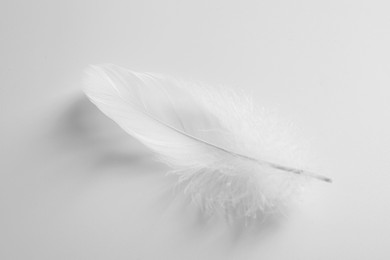 Photo of Beautiful fluffy bird feather on white background, top view