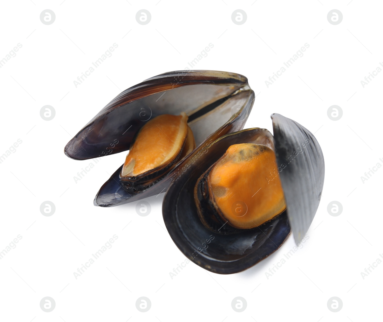 Photo of Delicious cooked mussels in shells on white background