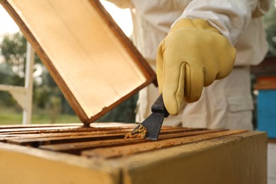 Beekeeper scraping wax from honey frame at apiary, closeup