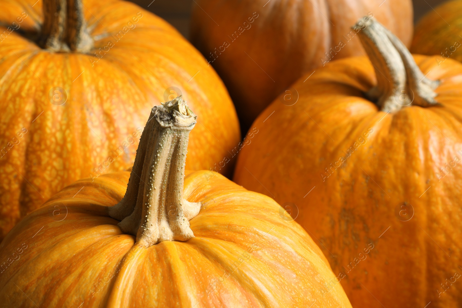 Photo of Many orange pumpkins as background, closeup. Autumn holidays