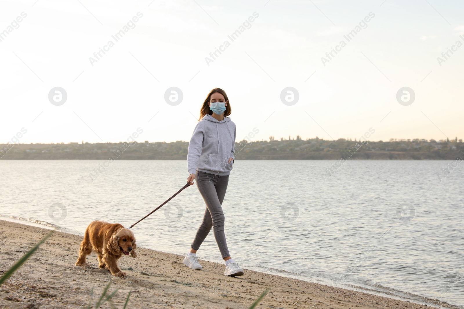 Photo of Woman in protective mask with English Cocker Spaniel on beach. Walking dog during COVID-19 pandemic