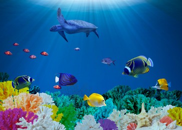Beautiful corals, different fishes and turtle in sea. Underwater world