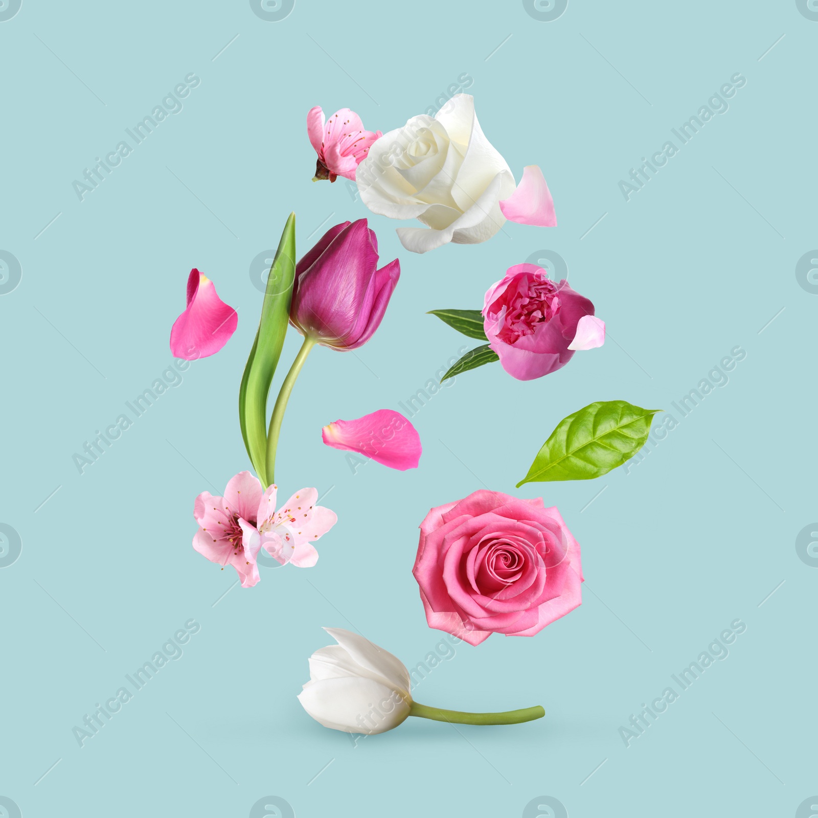 Image of Different beautiful flowers flying on turquoise background