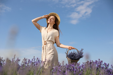 Young woman with wicker basket full of lavender flowers in field