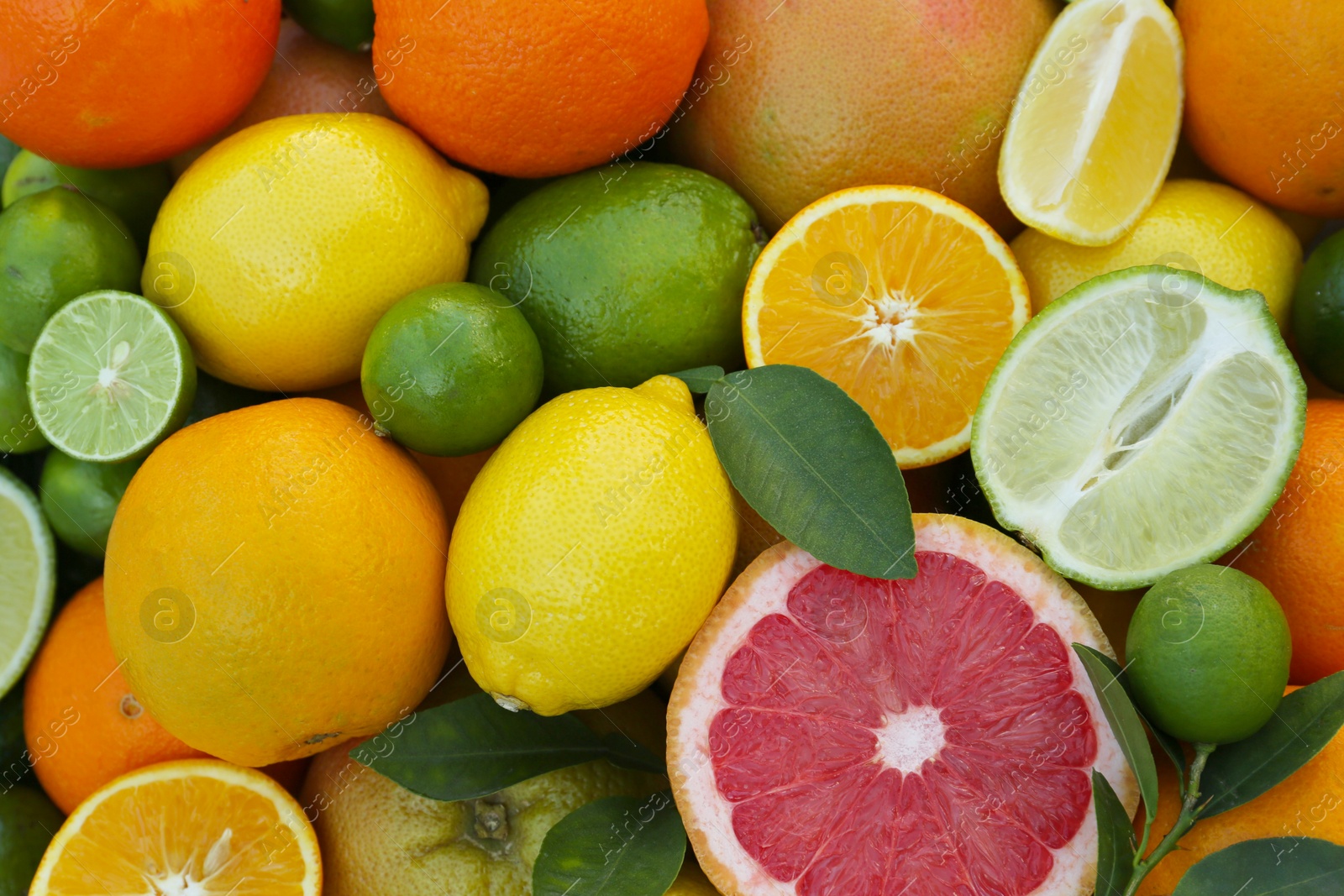 Photo of Different fresh citrus fruits and leaves as background, top view.