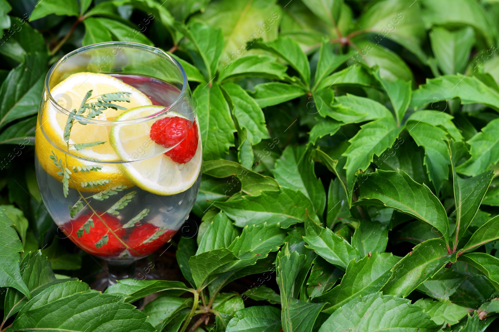 Photo of Delicious refreshing lemonade with raspberries surrounded by green leaves outdoors, space for text