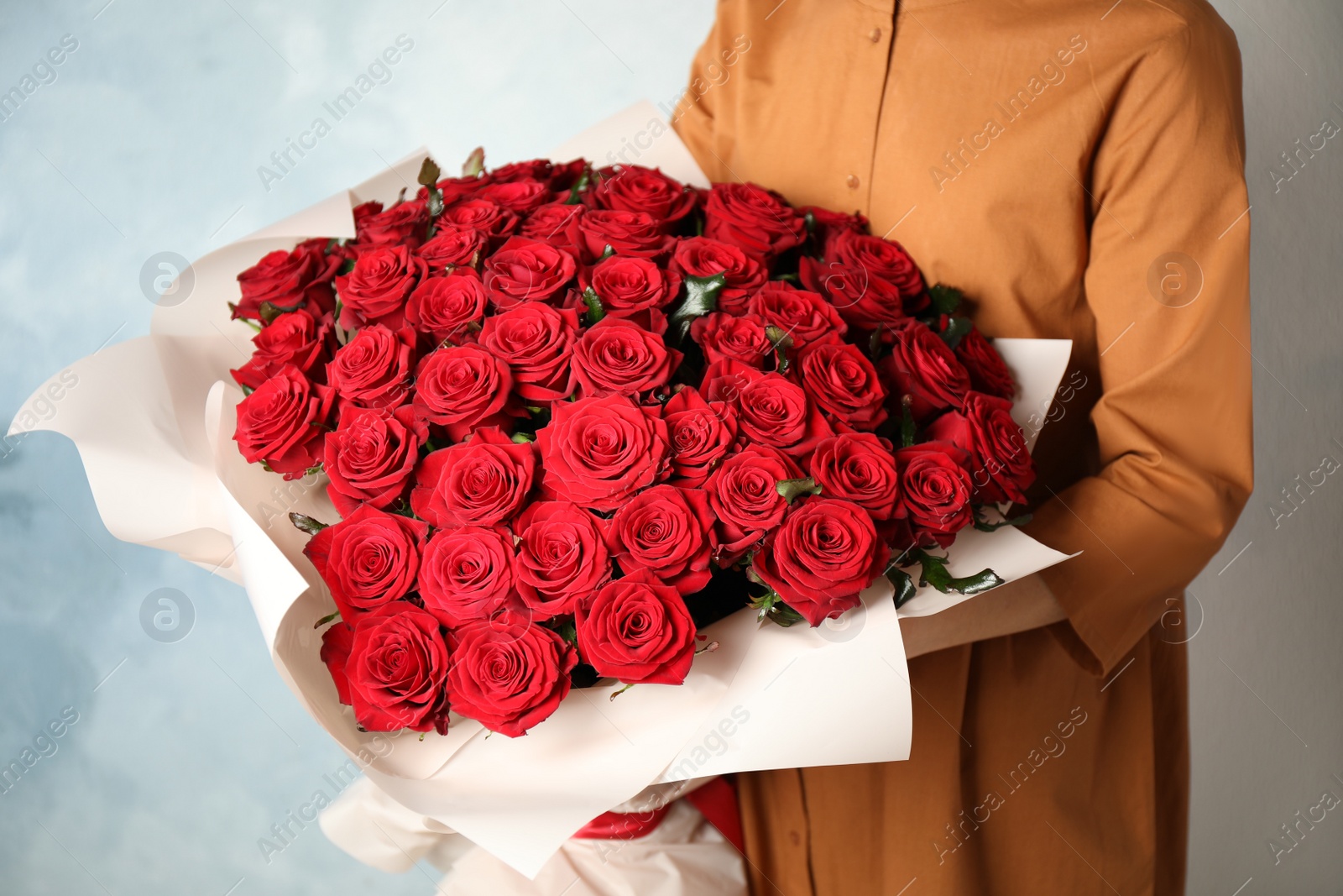 Photo of Woman holding luxury bouquet of fresh red roses on light background, closeup