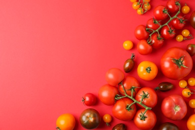 Photo of Flat lay composition with fresh ripe tomatoes on red background. Space for text