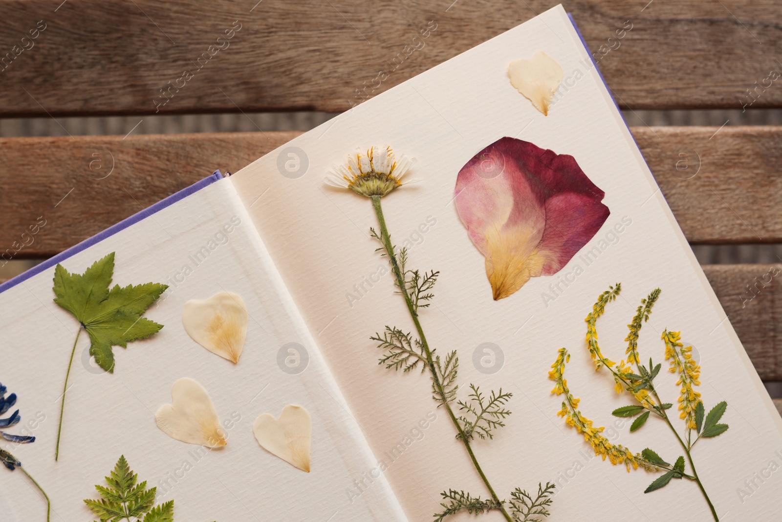 Photo of Book with dried flowers and leaves on wooden table, top view