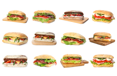 Image of Set of delicious sandwiches on white background