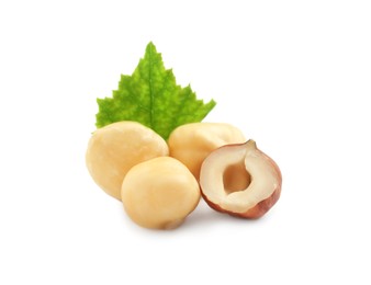 Photo of Tasty organic hazelnuts and leaf on white background