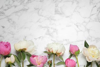 Beautiful peonies on white marble background, flat lay. Space for text