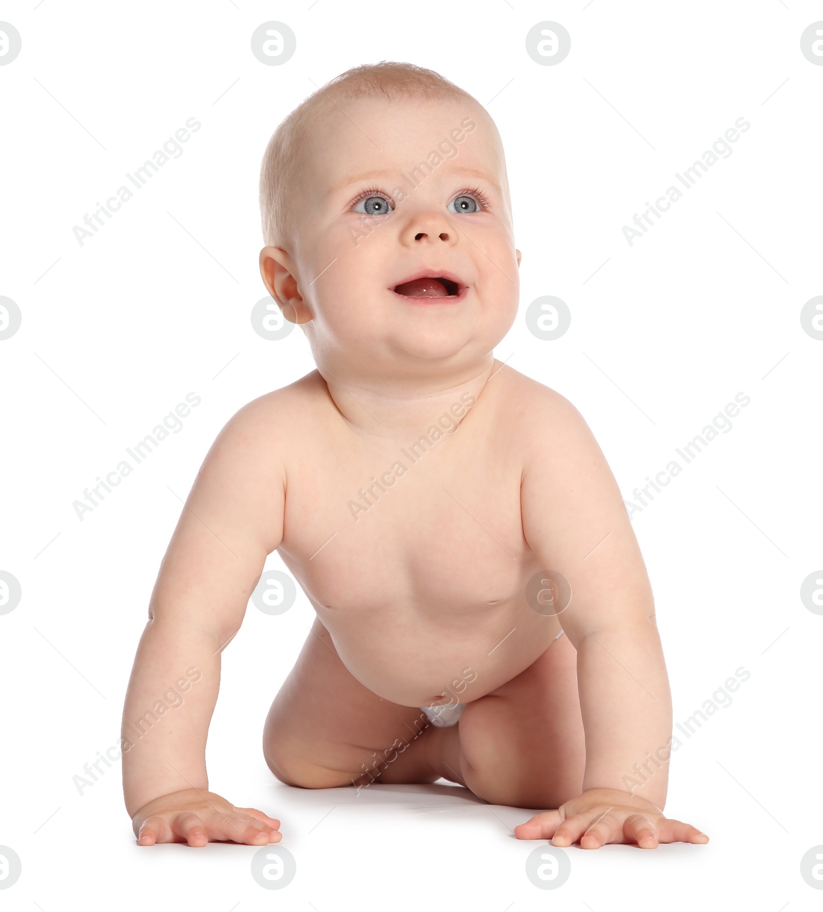 Photo of Cute little baby crawling on white background