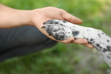 Woman holding dog's paw outdoors, closeup. Concept of volunteering