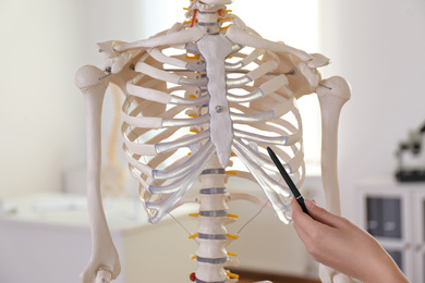 Photo of Orthopedist pointing on human skeleton model in clinic, closeup