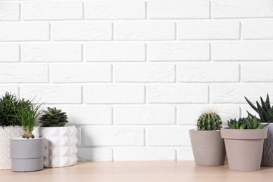 Photo of Different house plants in pots on wooden table near white brick wall, space for text