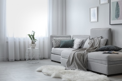 Elegant living room interior with comfortable sofa