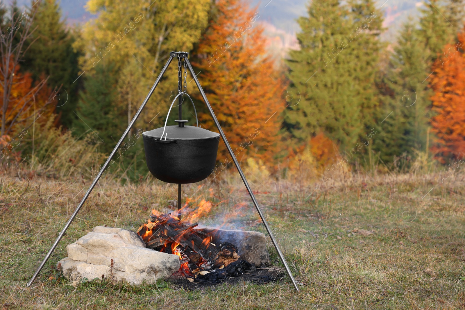 Photo of Cooking food on campfire near forest. Camping season