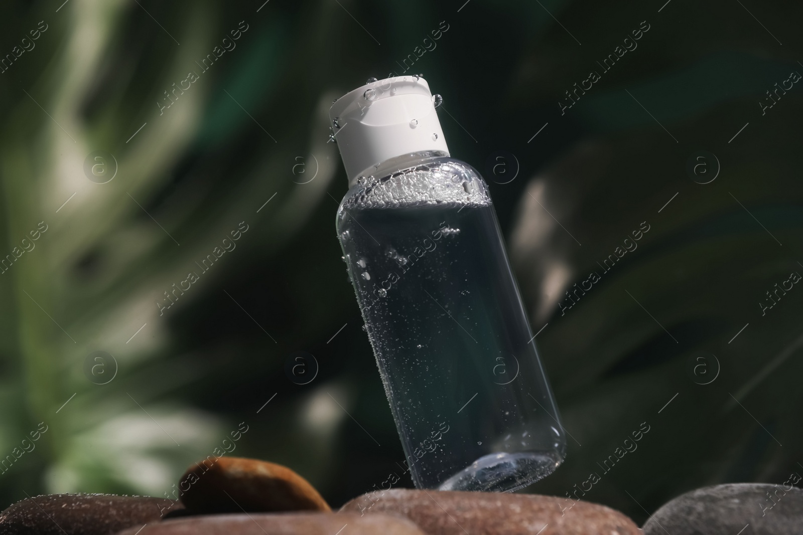 Photo of Bottle of micellar water in liquid on blurred background