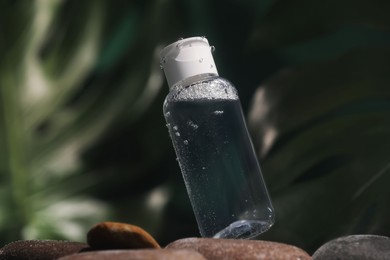 Bottle of micellar water in liquid on blurred background