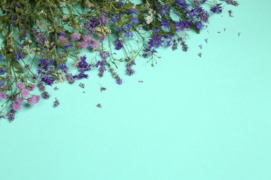 Photo of Different beautiful wild flowers on turquoise background, above view. Space for text