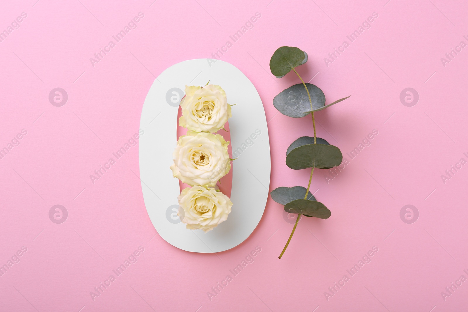 Photo of Paper number 0, eucalyptus branch and beautiful rose flowers on pink background, flat lay