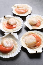 Photo of Many fresh raw scallops in shells on grey table