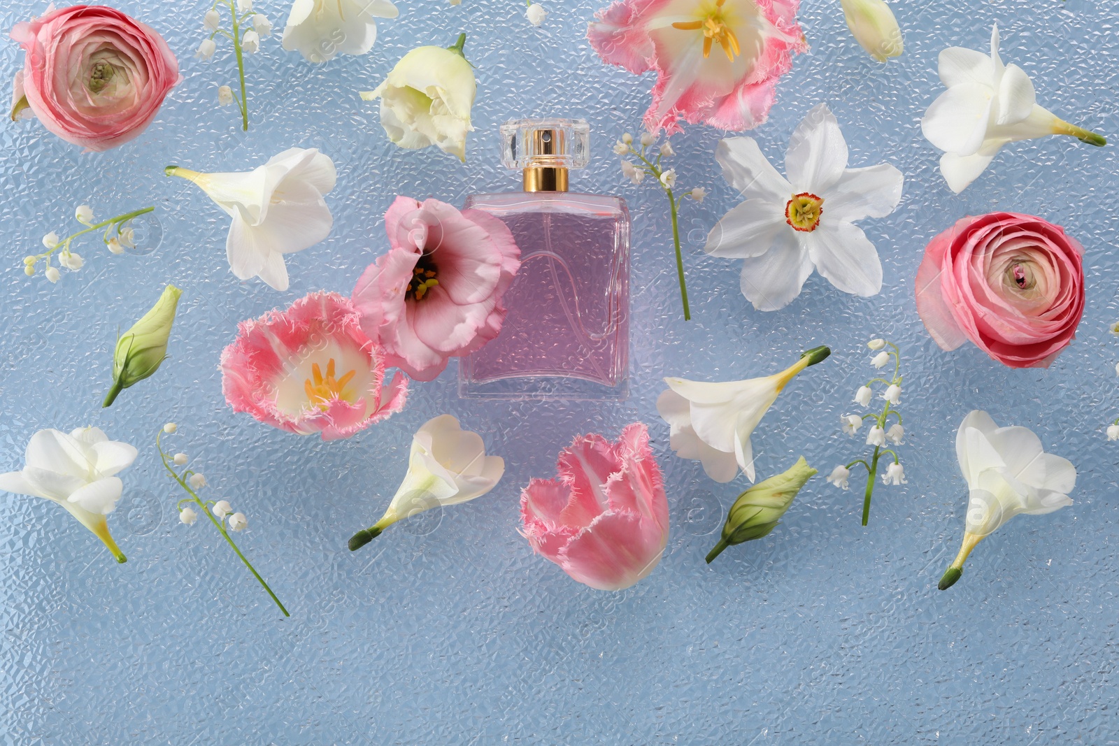 Photo of Luxury perfume and floral decor on light blue plastic surface, flat lay