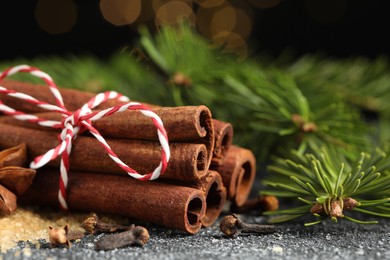 Different aromatic spices and fir branches on grey textured table, closeup