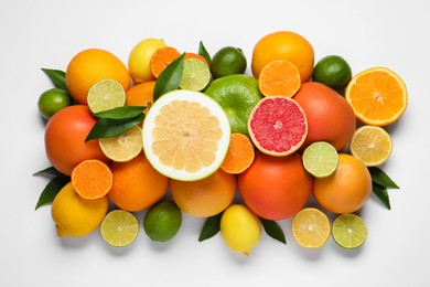 Photo of Different citrus fruits with fresh leaves on white background, top view