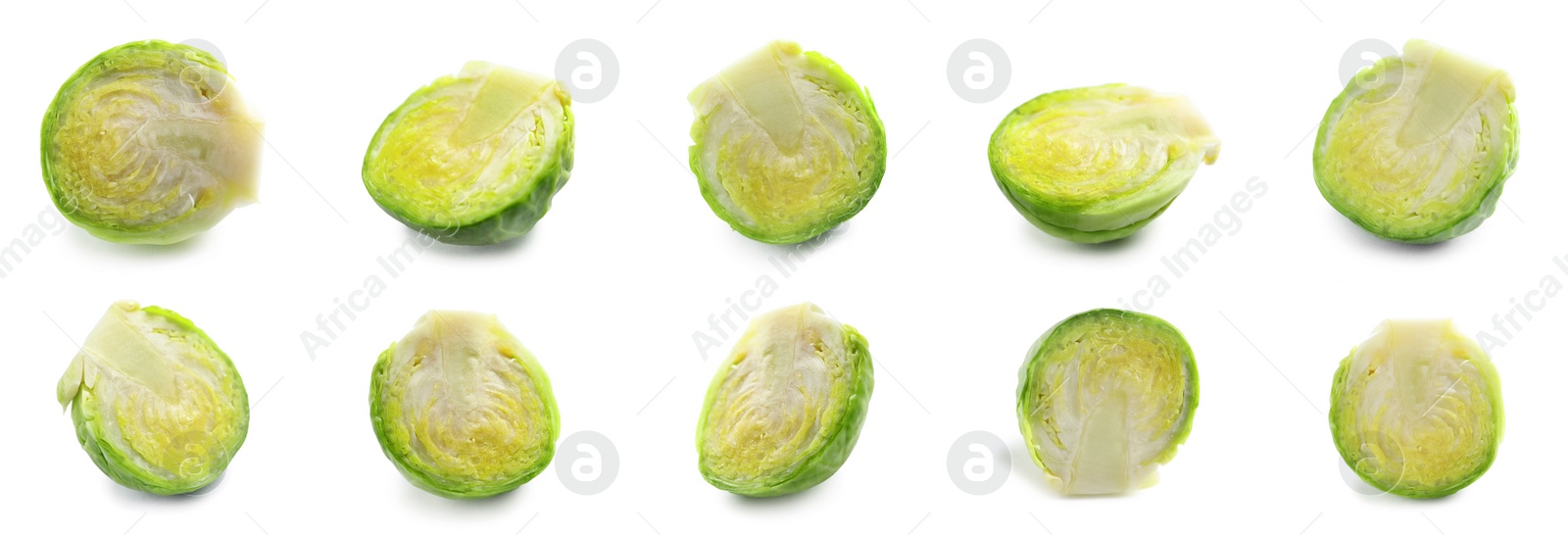 Image of Set of cut Brussels sprouts on white background. Banner design 