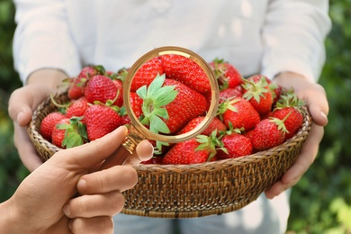 Woman with magnifying glass focusing on strawberry, closeup. Food control 