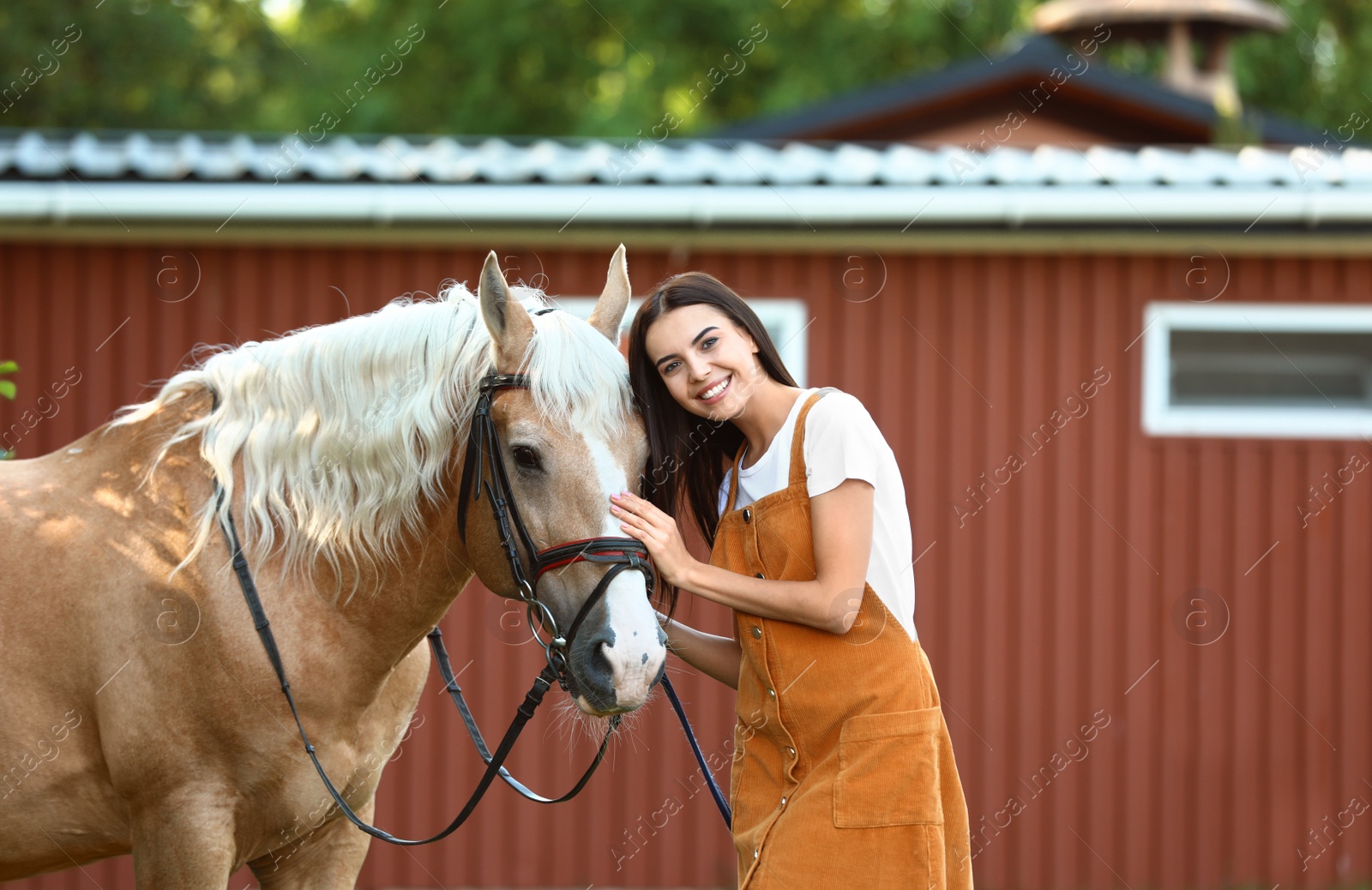 Photo of Palomino horse in bridle and young woman outdoors